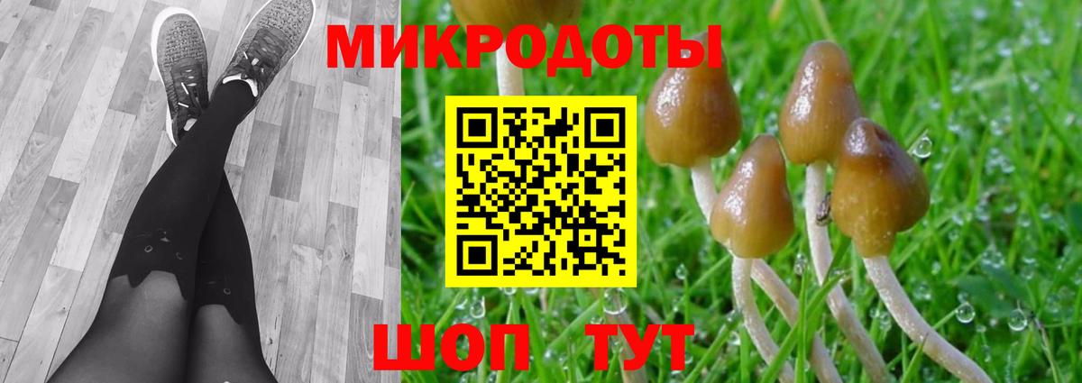 Россия  Галлюциногенные грибы Magic Shrooms  Вход с VPN 